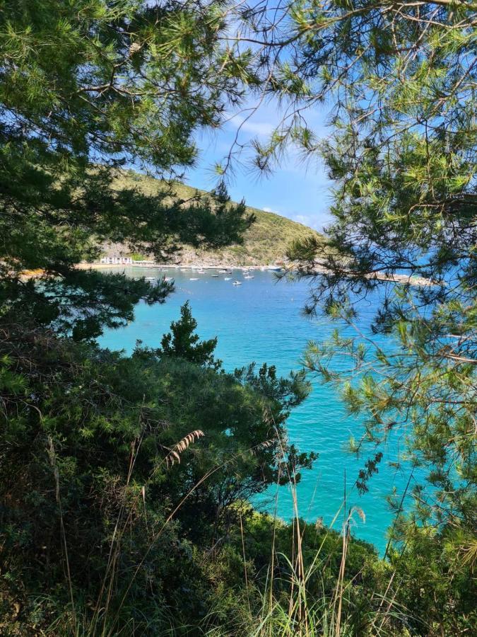 B&B La Marinella Palinuro Εξωτερικό φωτογραφία